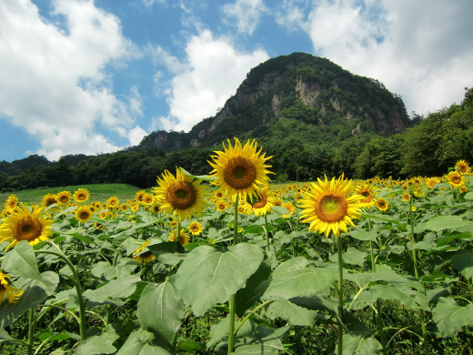 658152 (a): :1600x1200